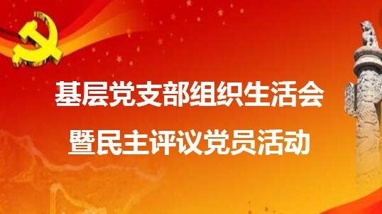 上藥常藥黨委各支部召開(kāi)組織生活會(huì)并開(kāi)展黨員民主評(píng)議活動(dòng)